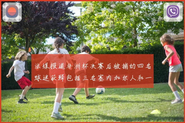 法媒报道非洲杯决赛后被捕的四名球迷获释包括三名塞内加尔人和一名法国人